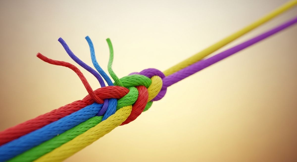 A family celebrating a collective win in a park.