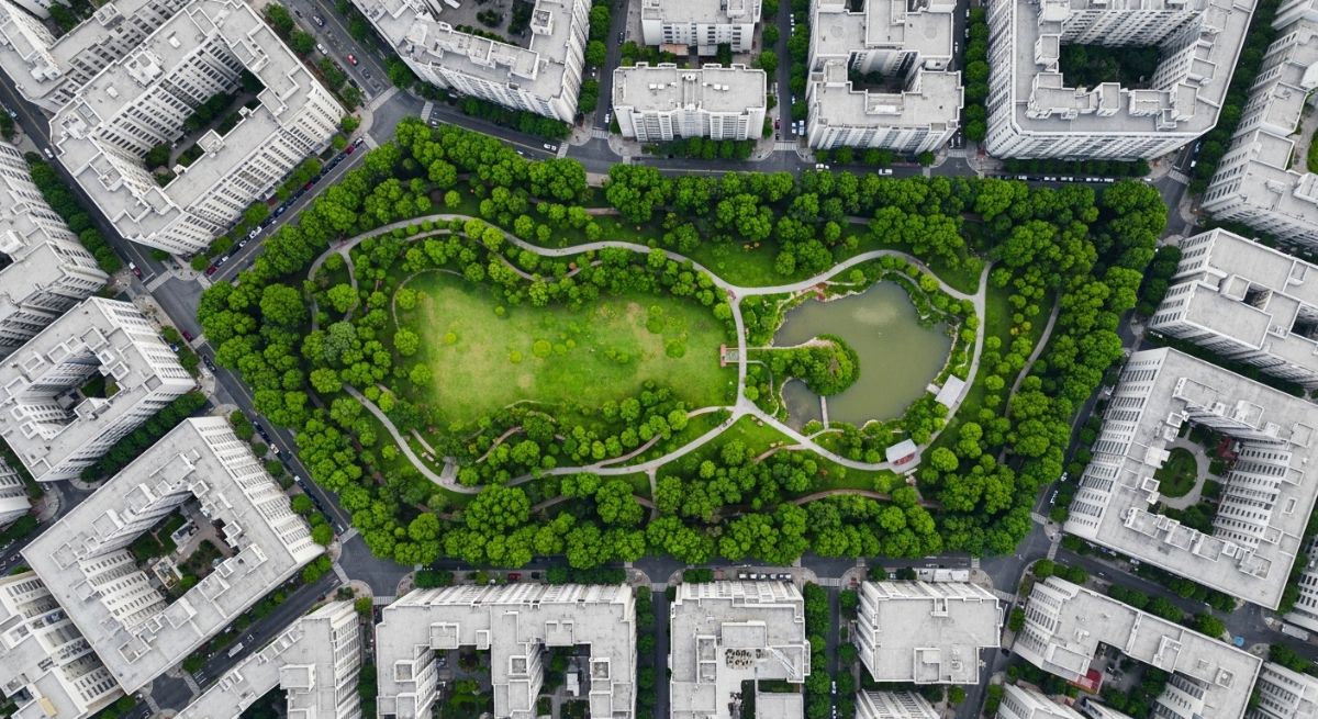 Green garden oasis in a gray city grid